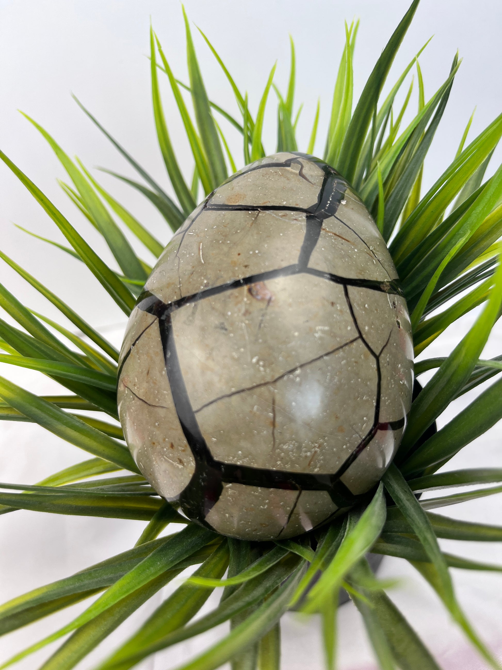 Septarian Eggs