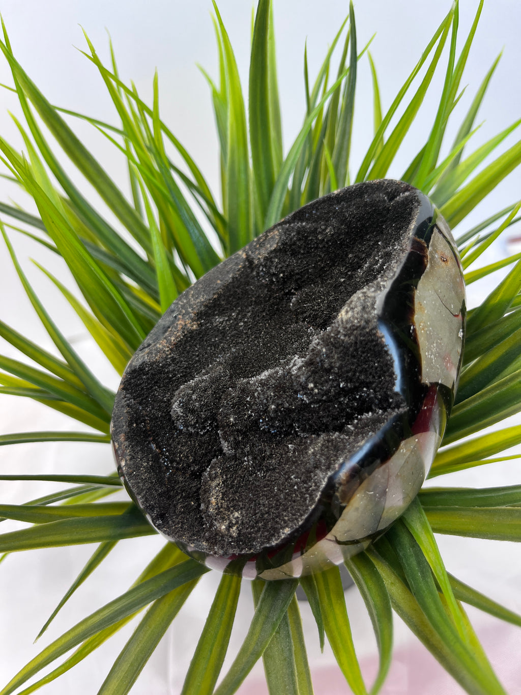 Septarian Eggs