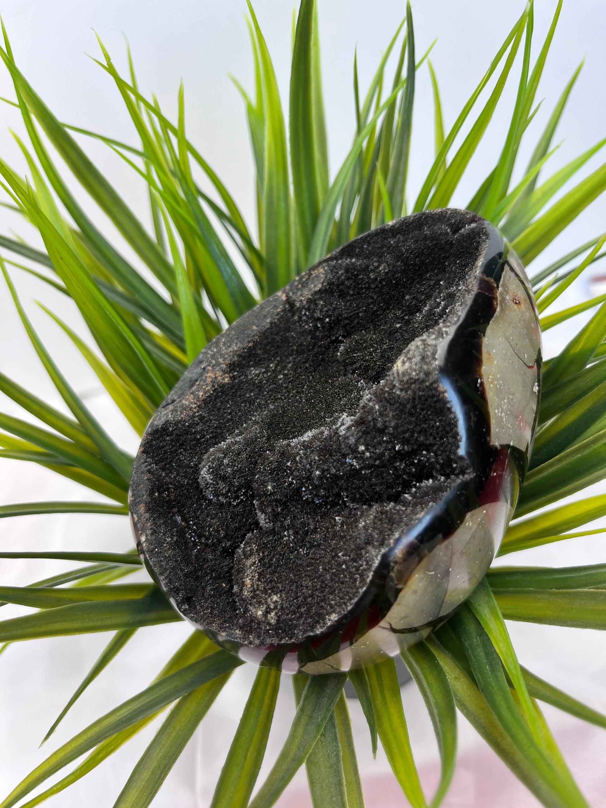 Septarian Eggs