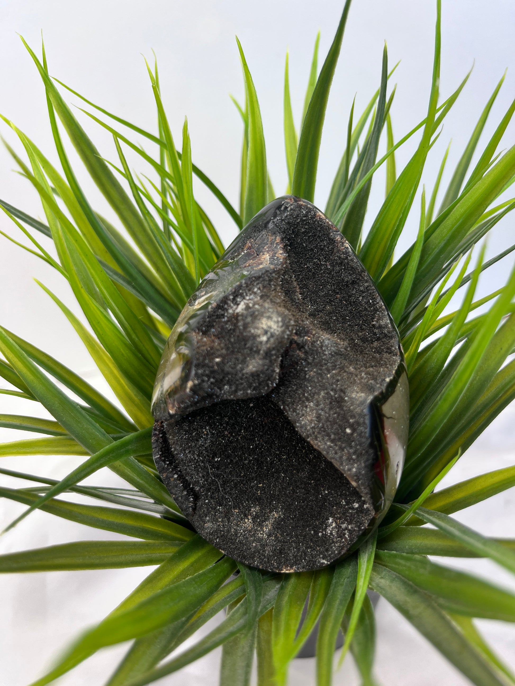 Septarian Eggs