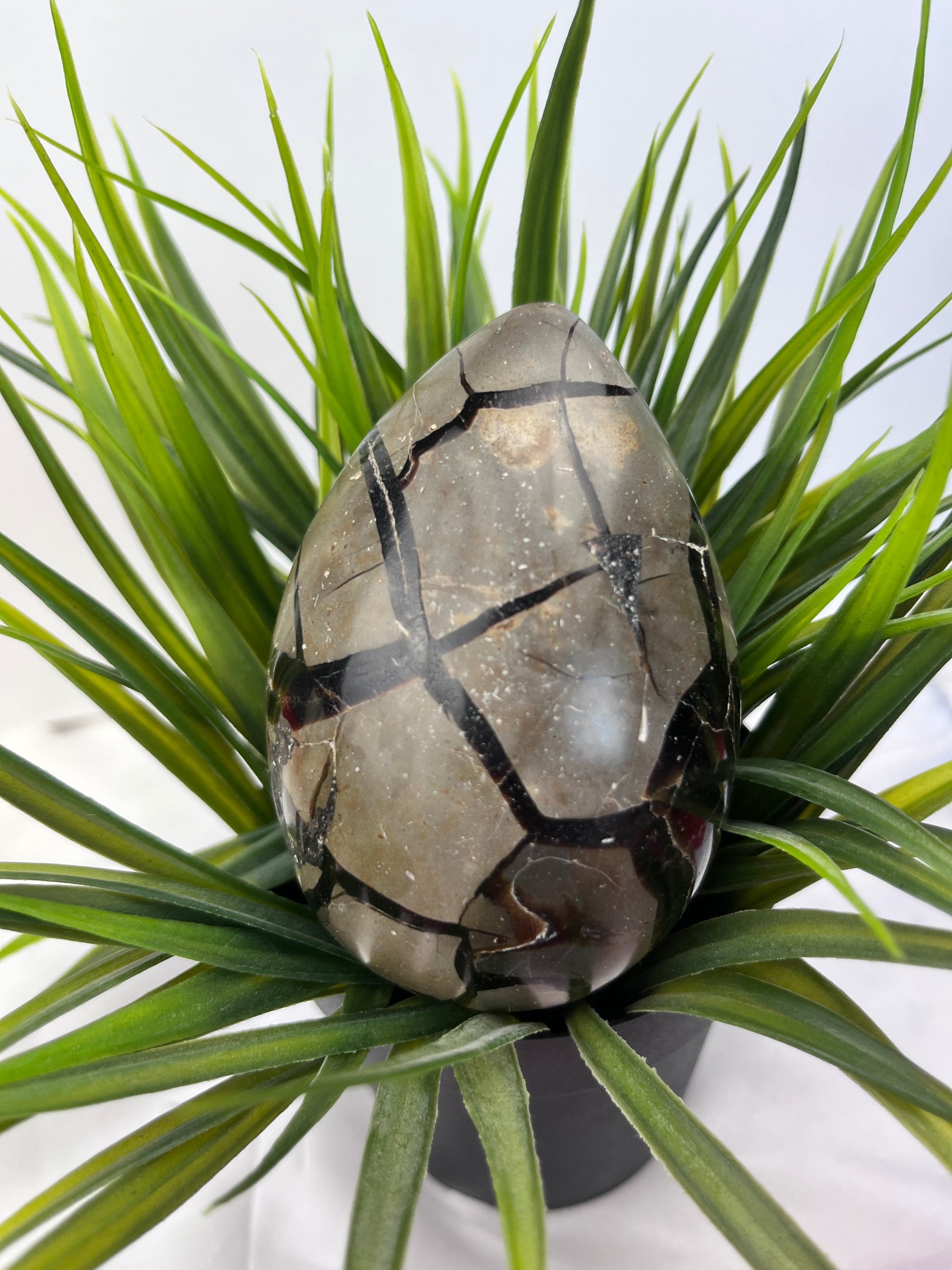 Septarian Eggs