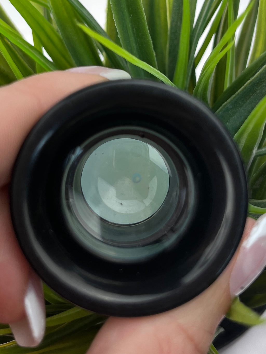 Opalite Egg