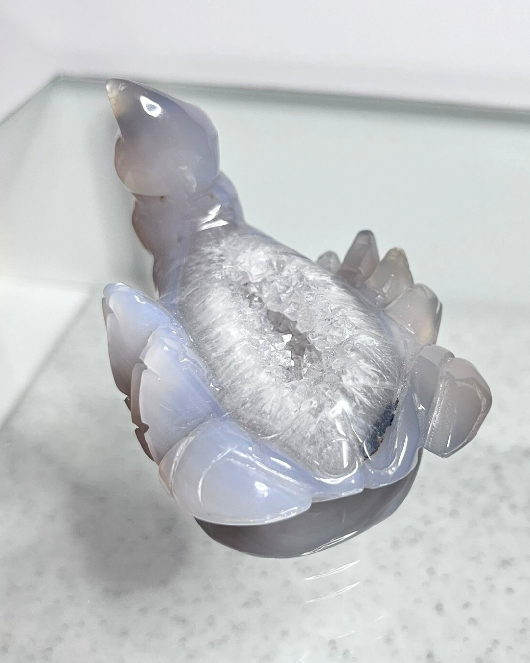 Druzy Scorpion