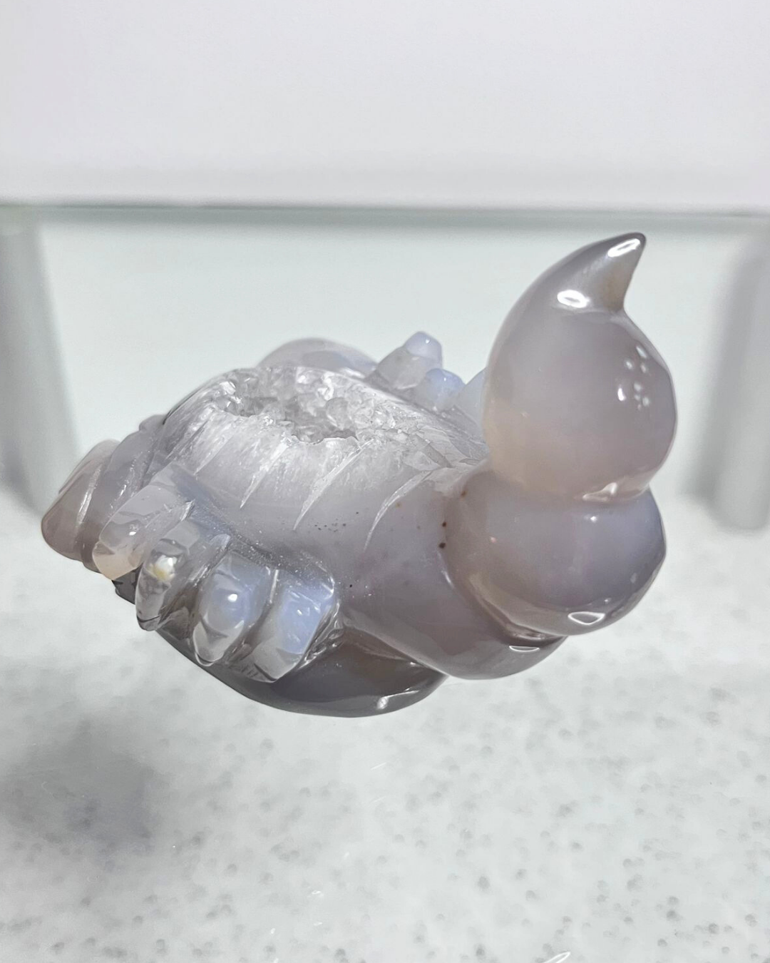 Druzy Scorpion