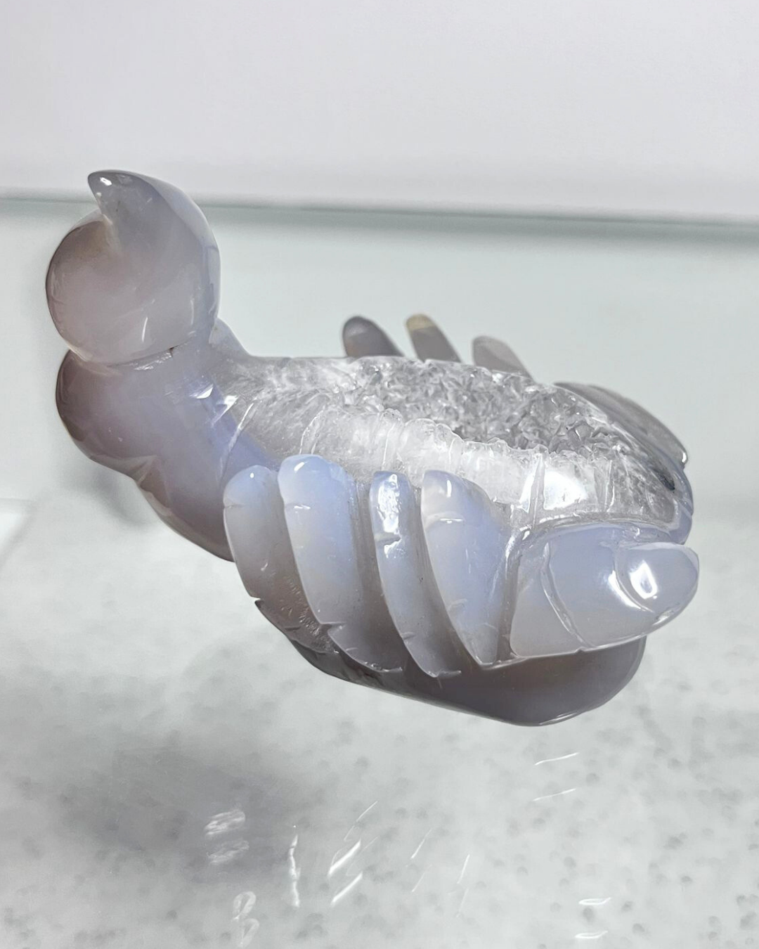 Druzy Scorpion