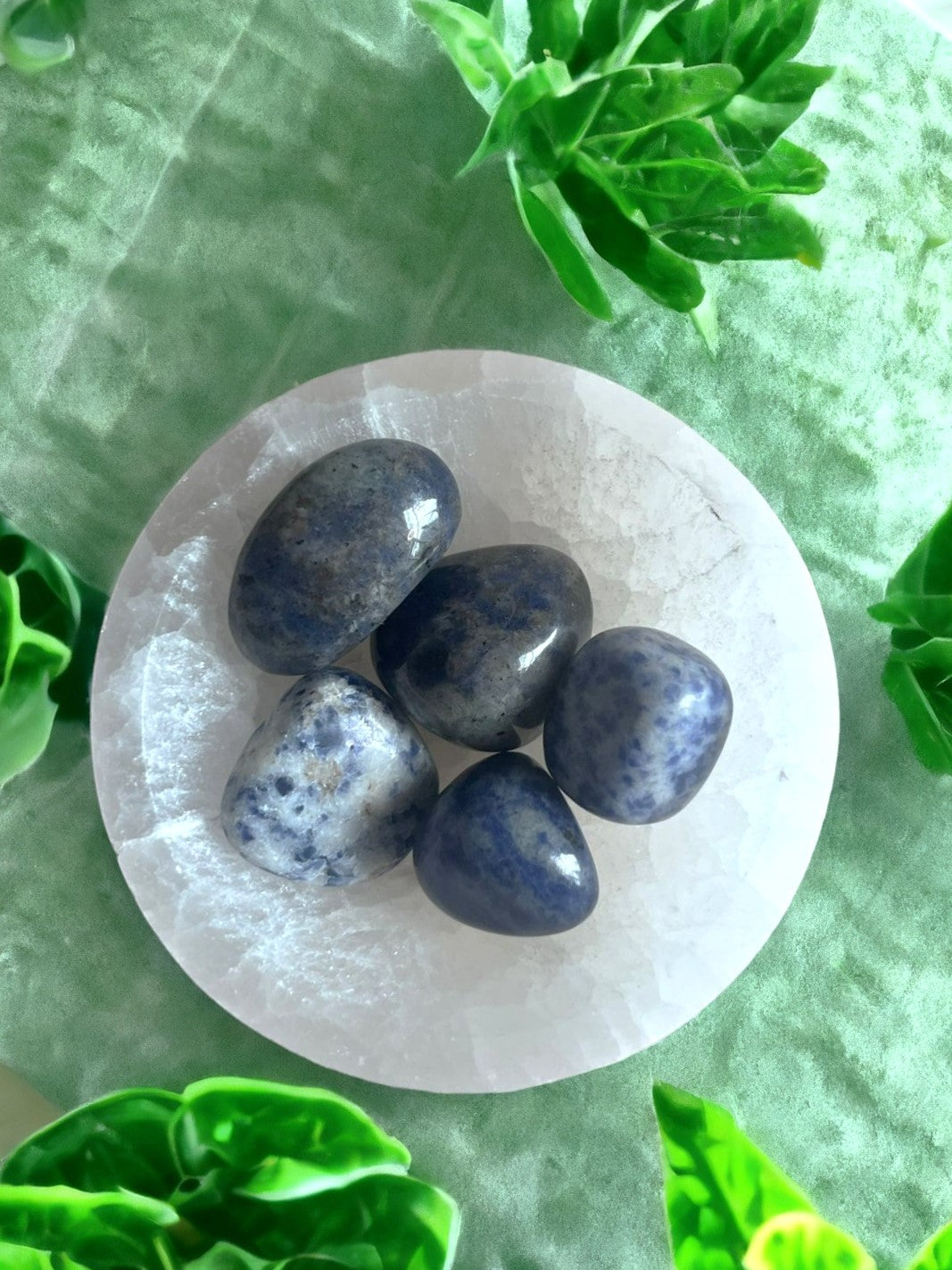 Sodalite Tumble Stones