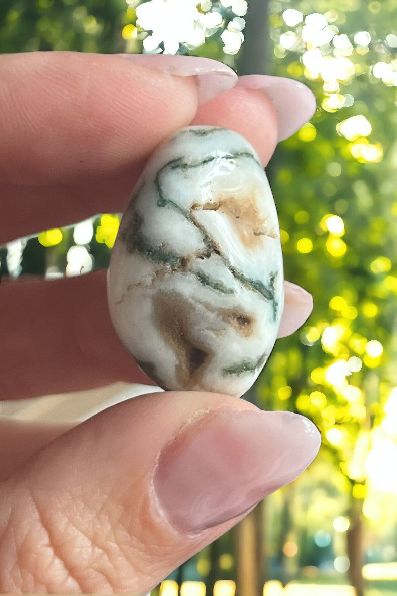 Tree Agate Tumble Stones