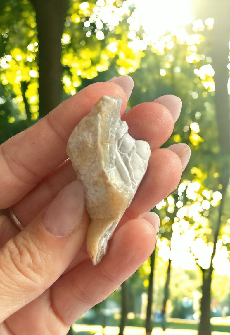 Bubbly Agate STUNNING!