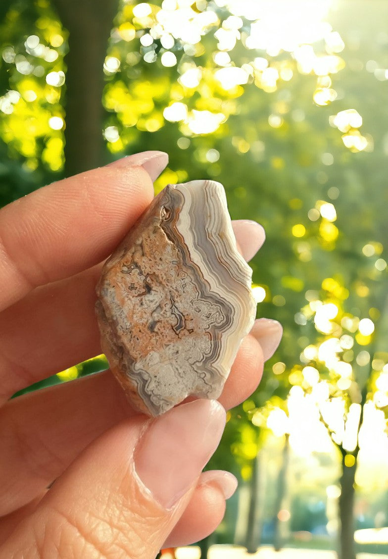 Mexican Crazy Lace Agate Slice