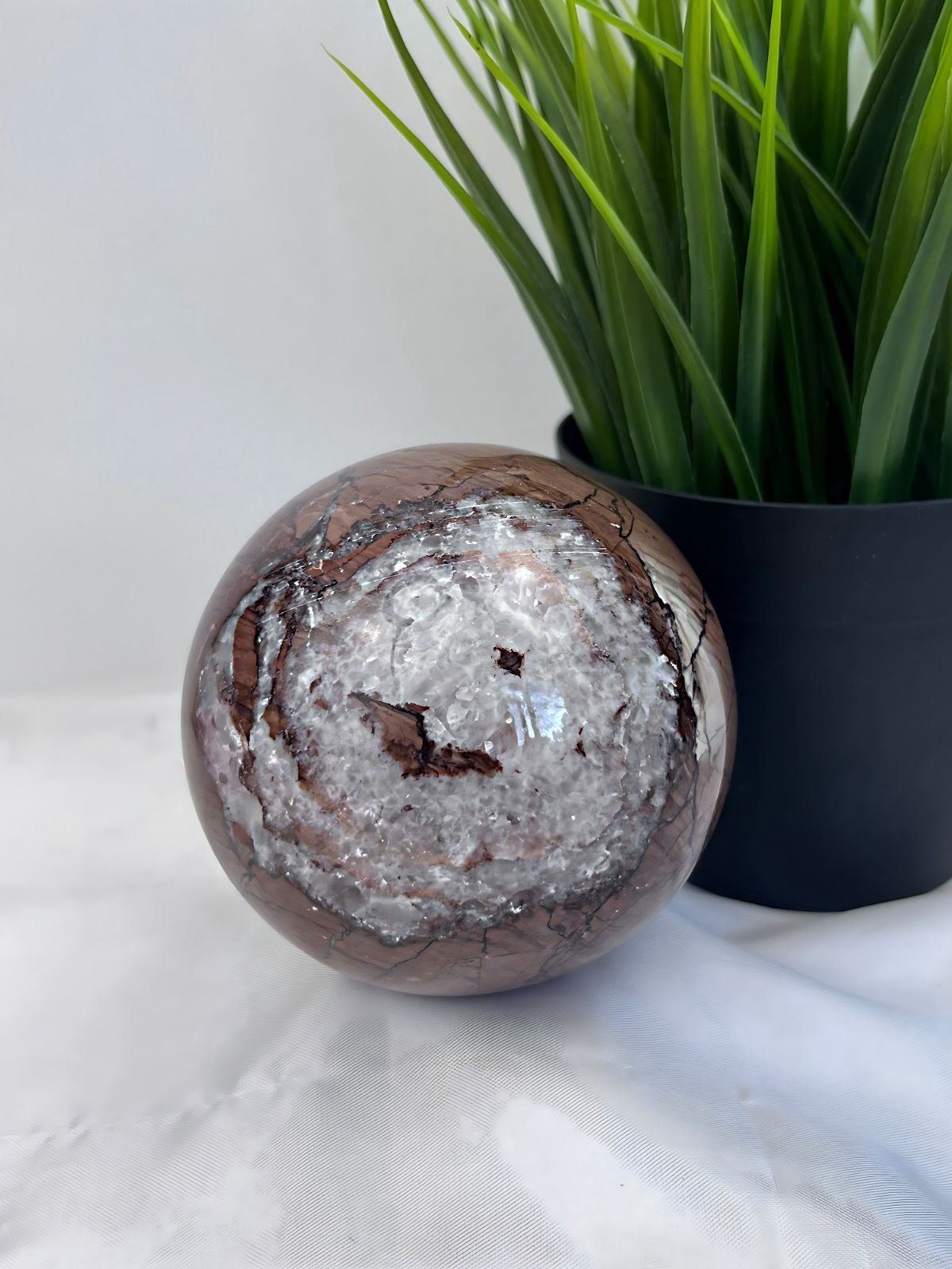 Fossil Wood Sphere