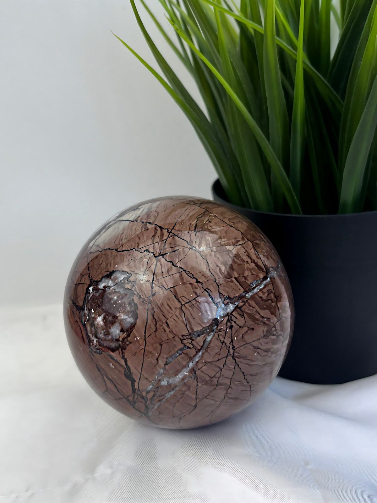 Fossil Wood Sphere