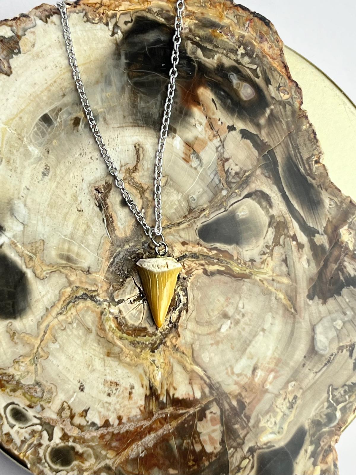 Stainless Steel Shark Tooth Necklace