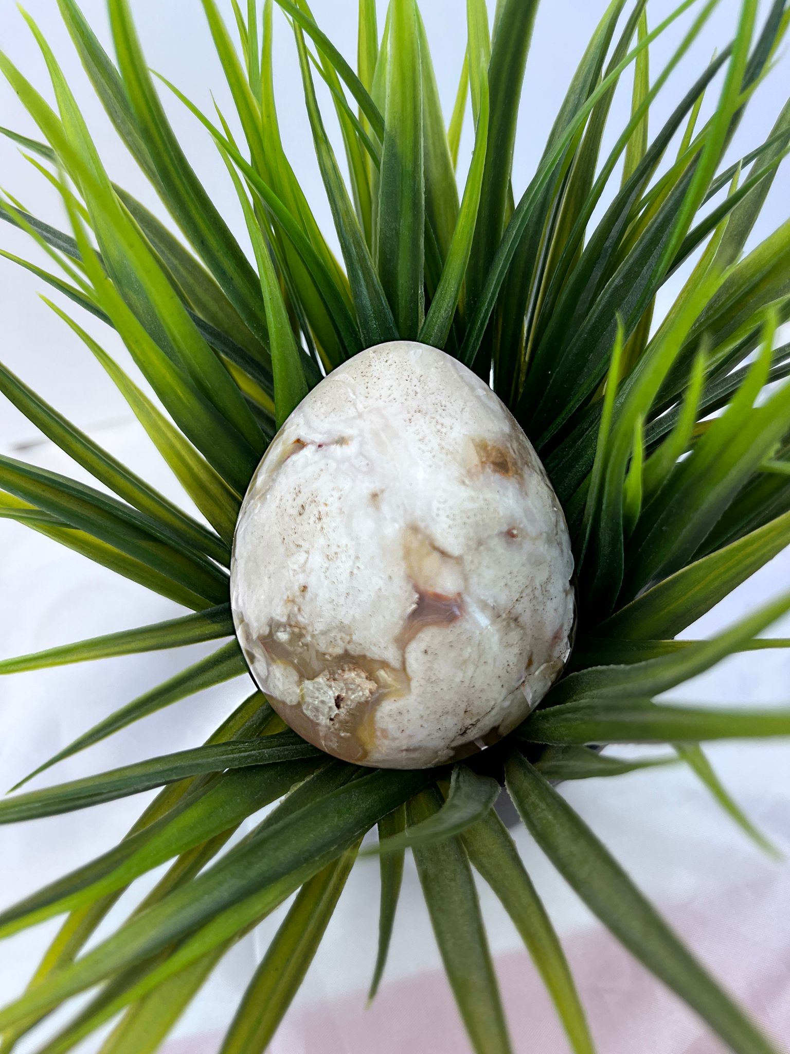 Flower Agate Egg