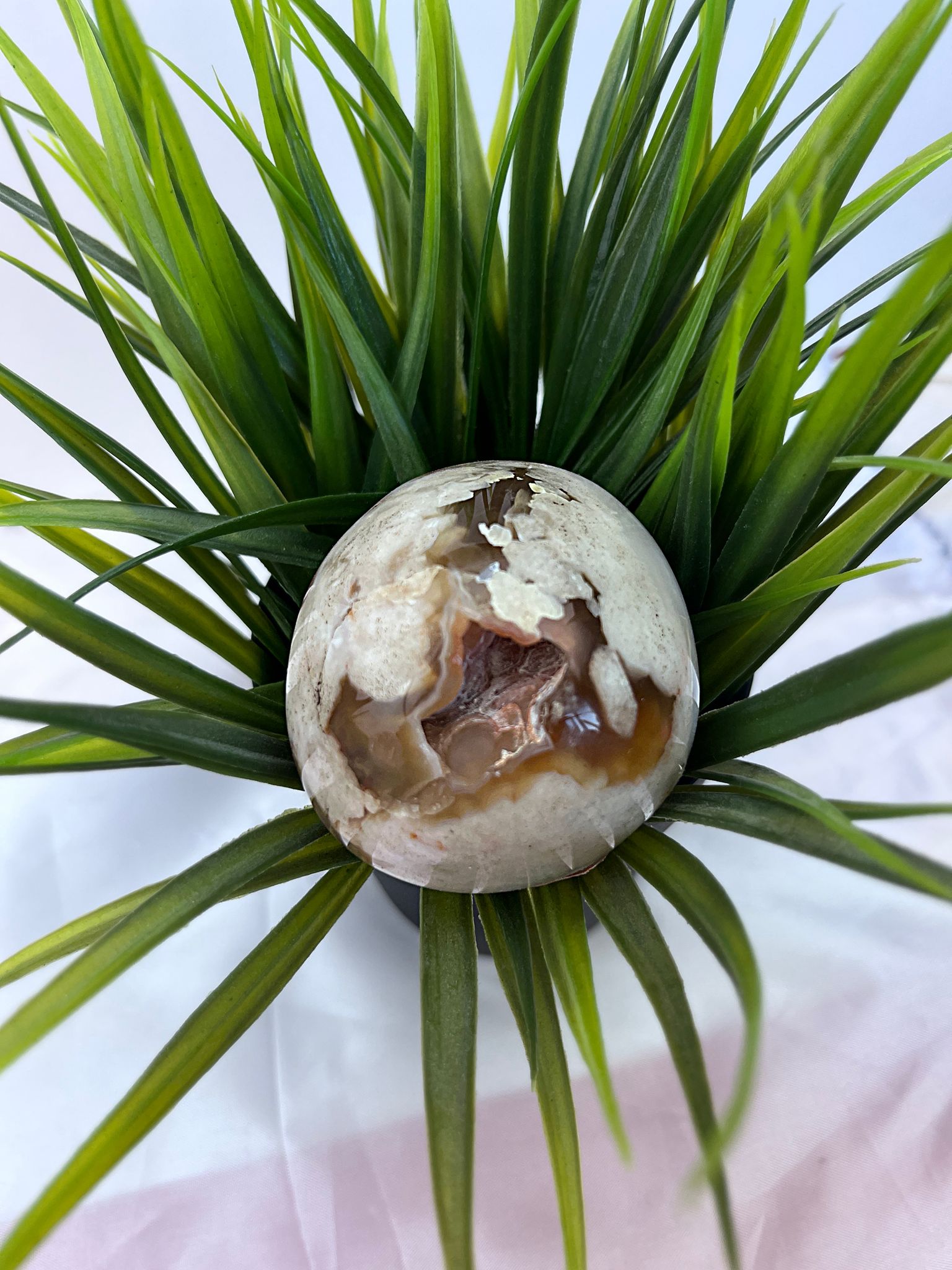 Flower Agate Egg