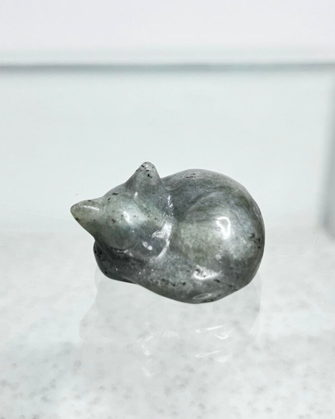 Sleeping Cat Carving