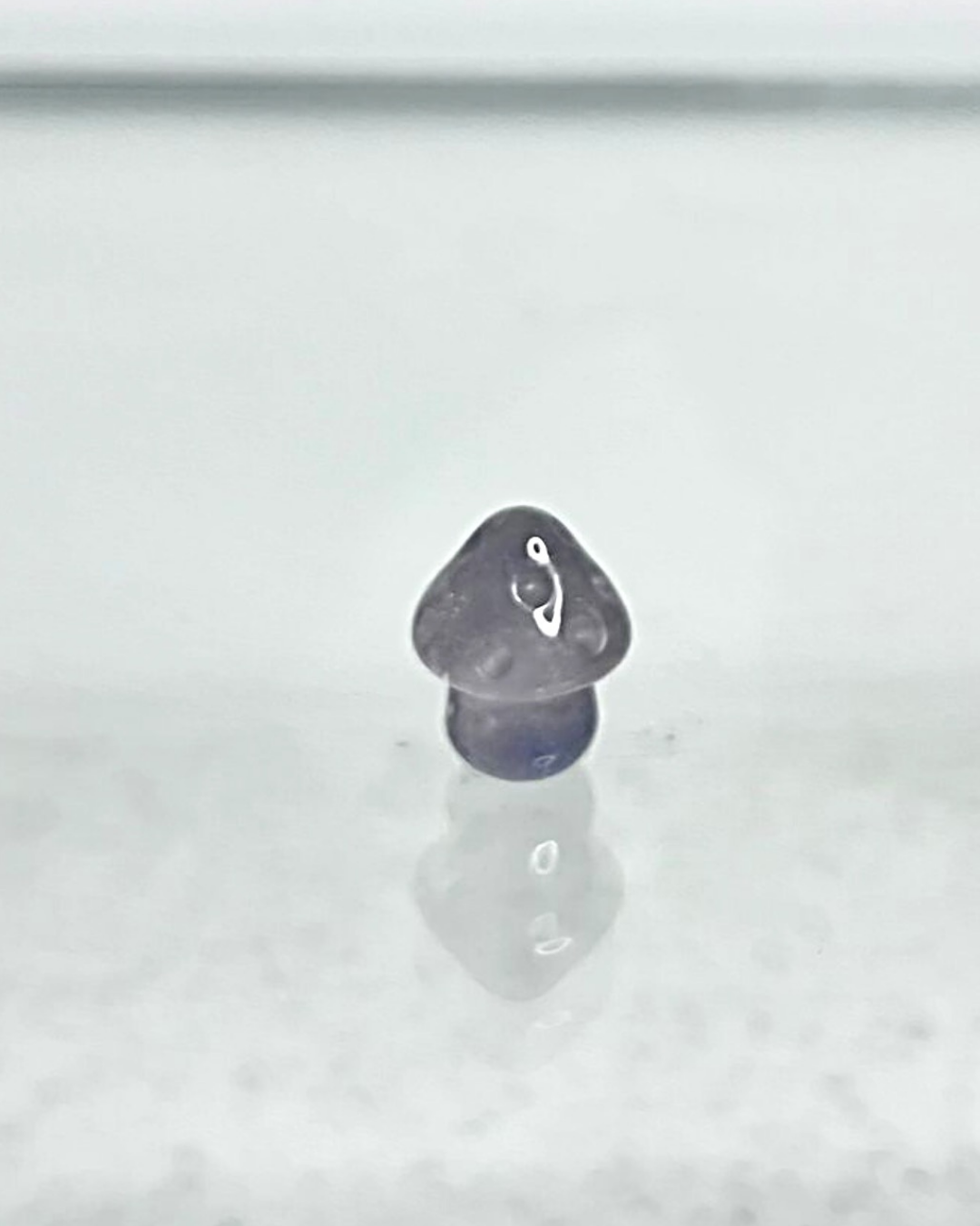 MINI Fluorite Mushroom