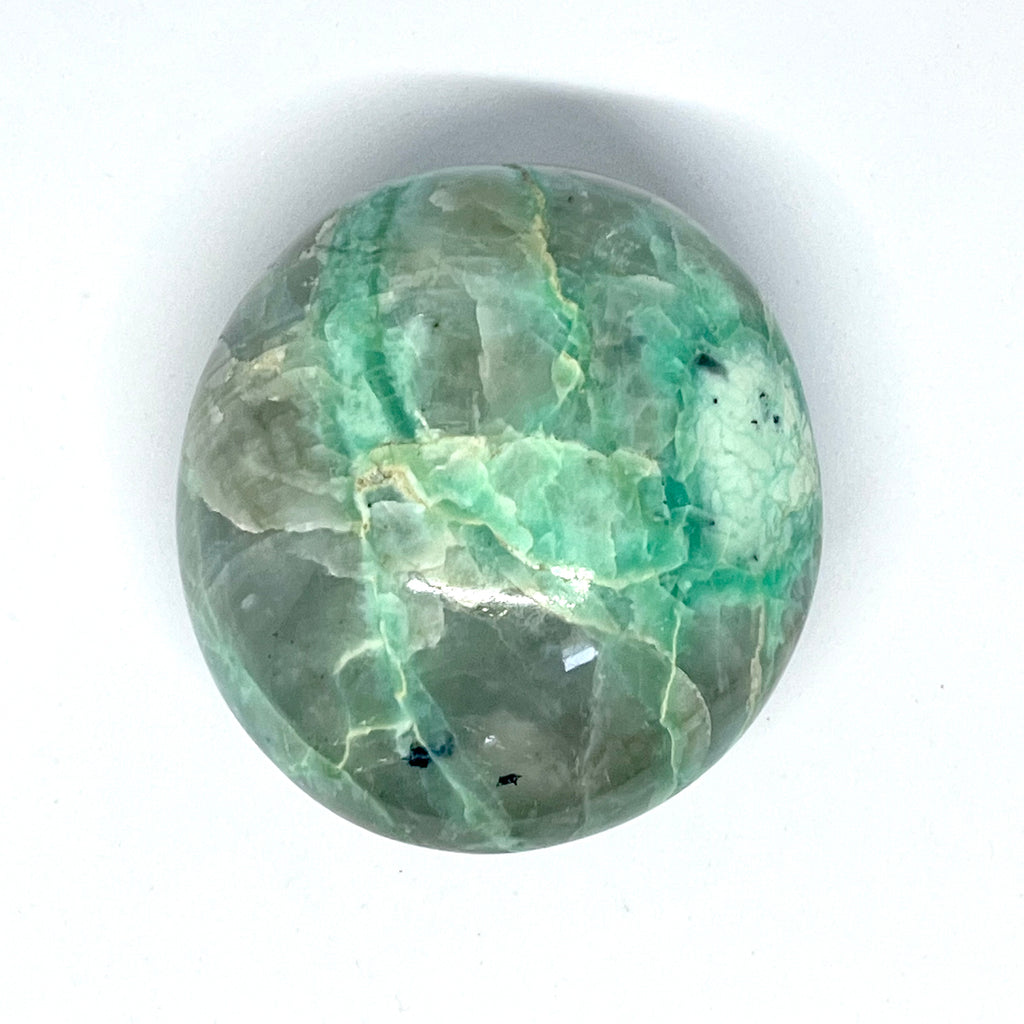 Garnierite Palm Freeforms