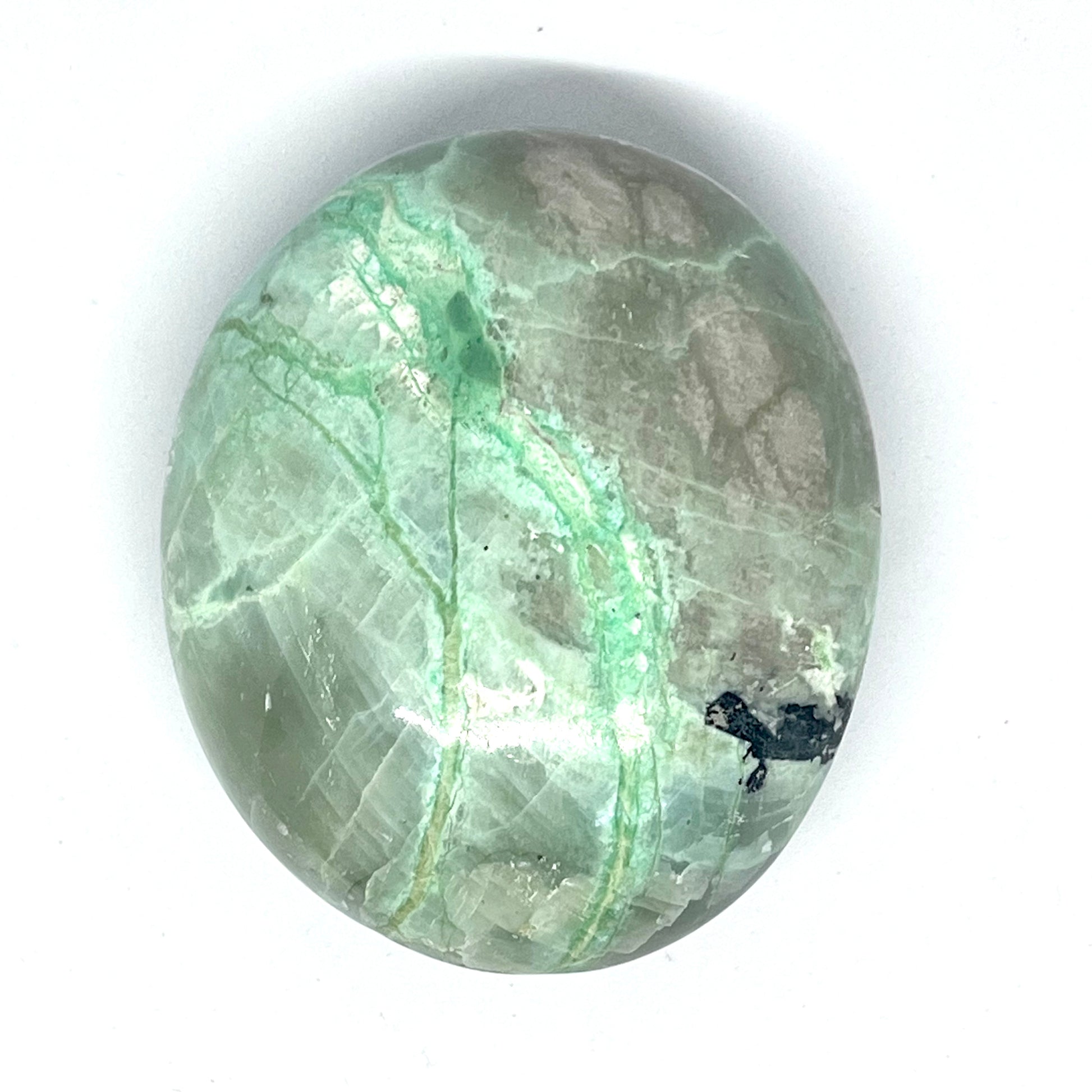 Garnierite Palm Freeforms