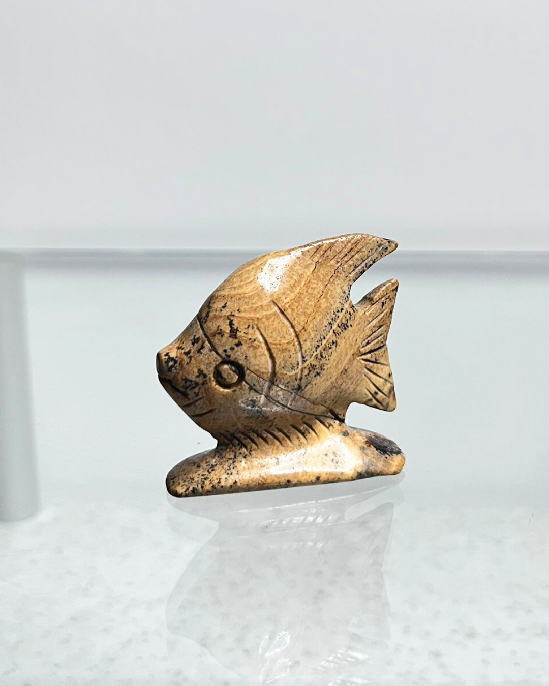 Picture Jasper Fish