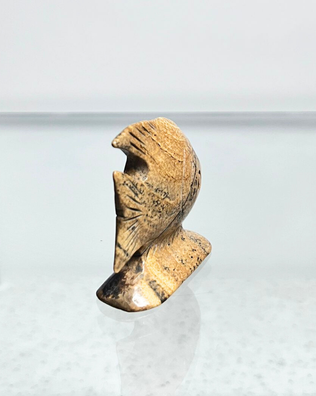 Picture Jasper Fish