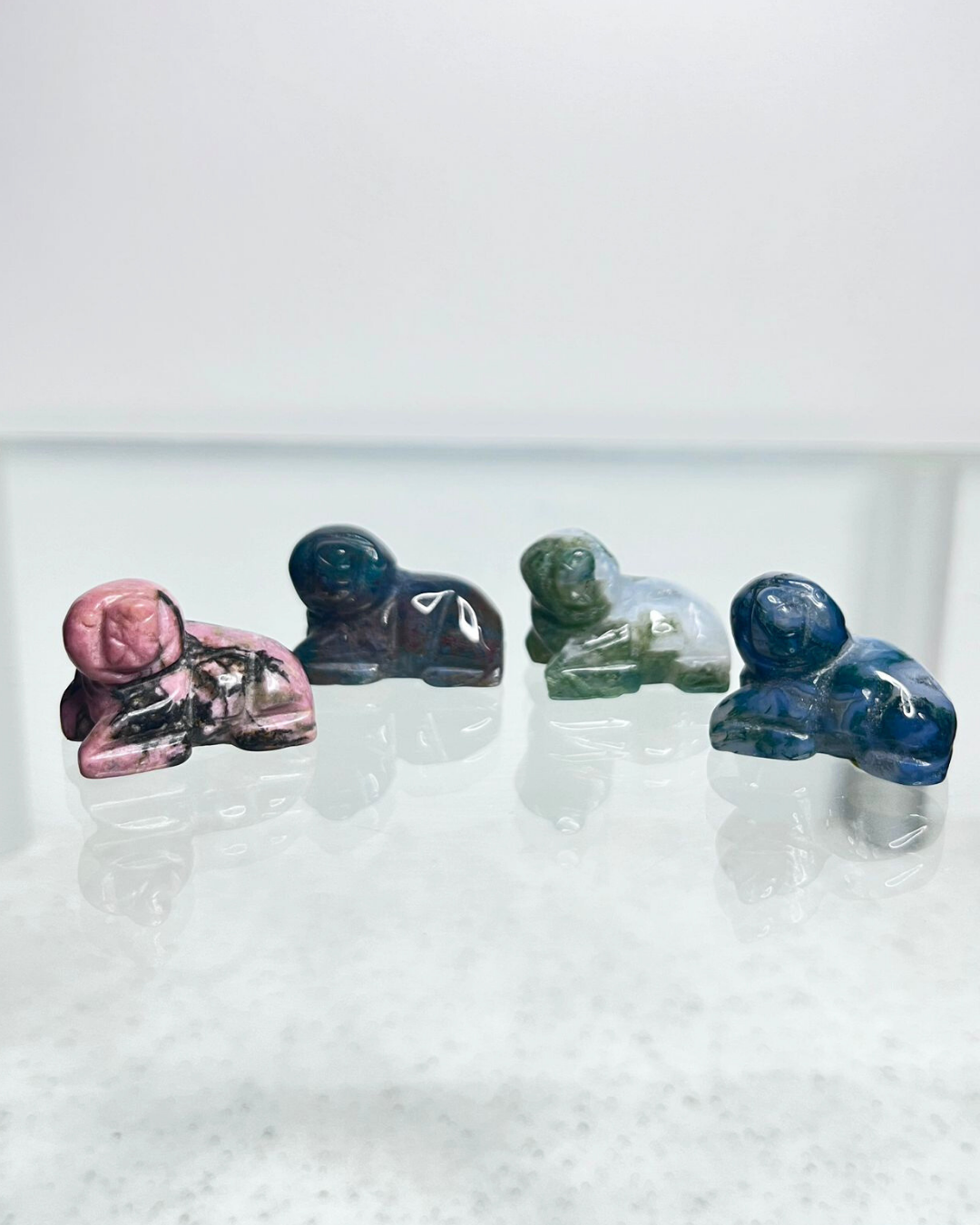 Seal Carvings