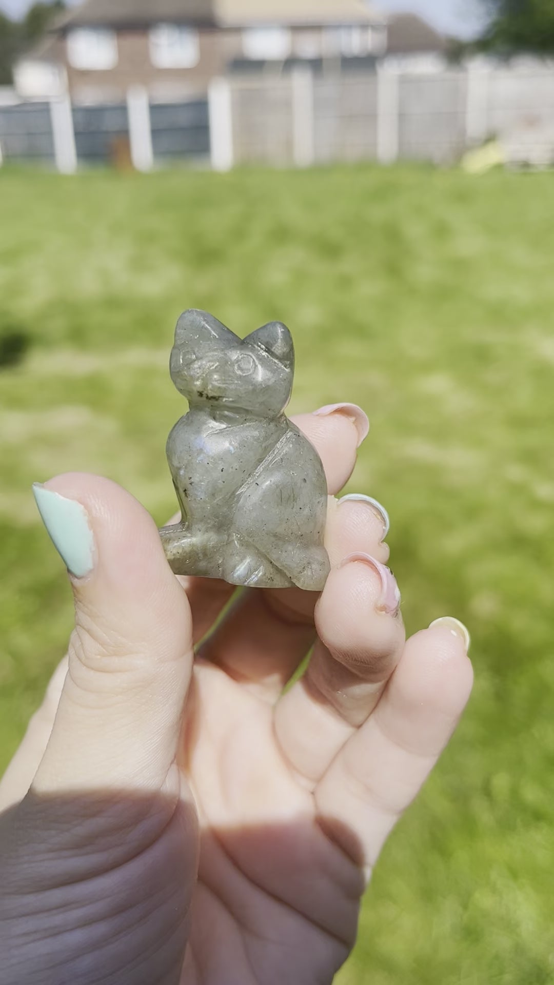 Cat Carvings