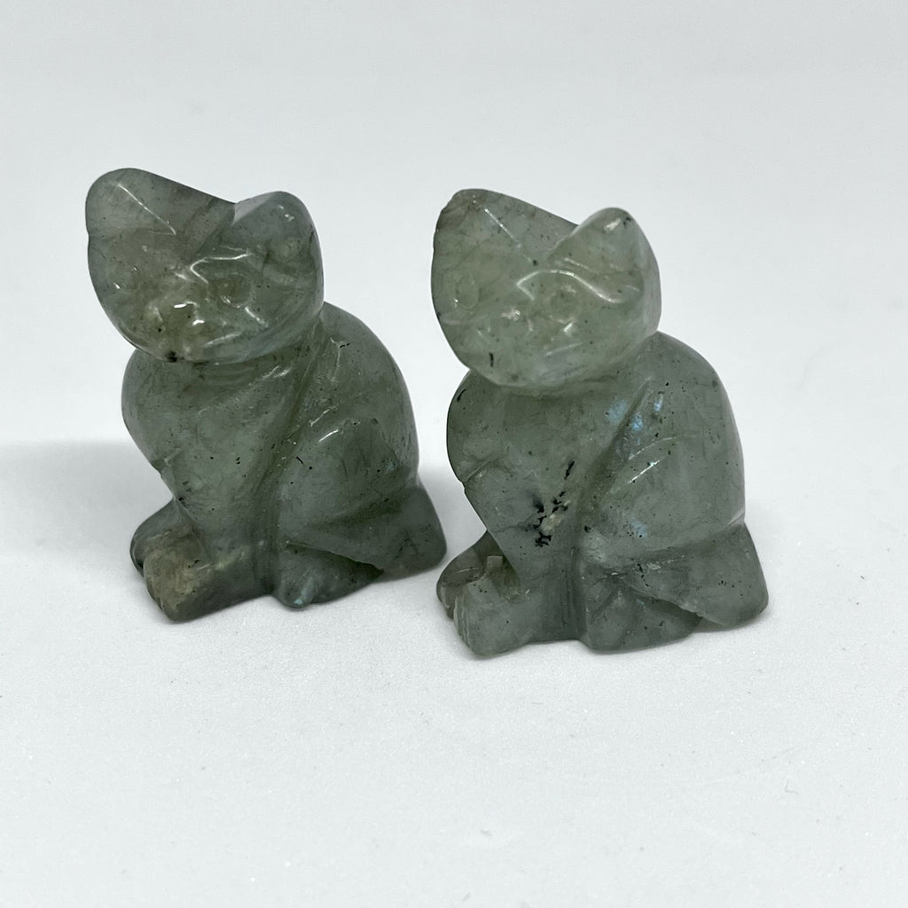 Cat Carvings