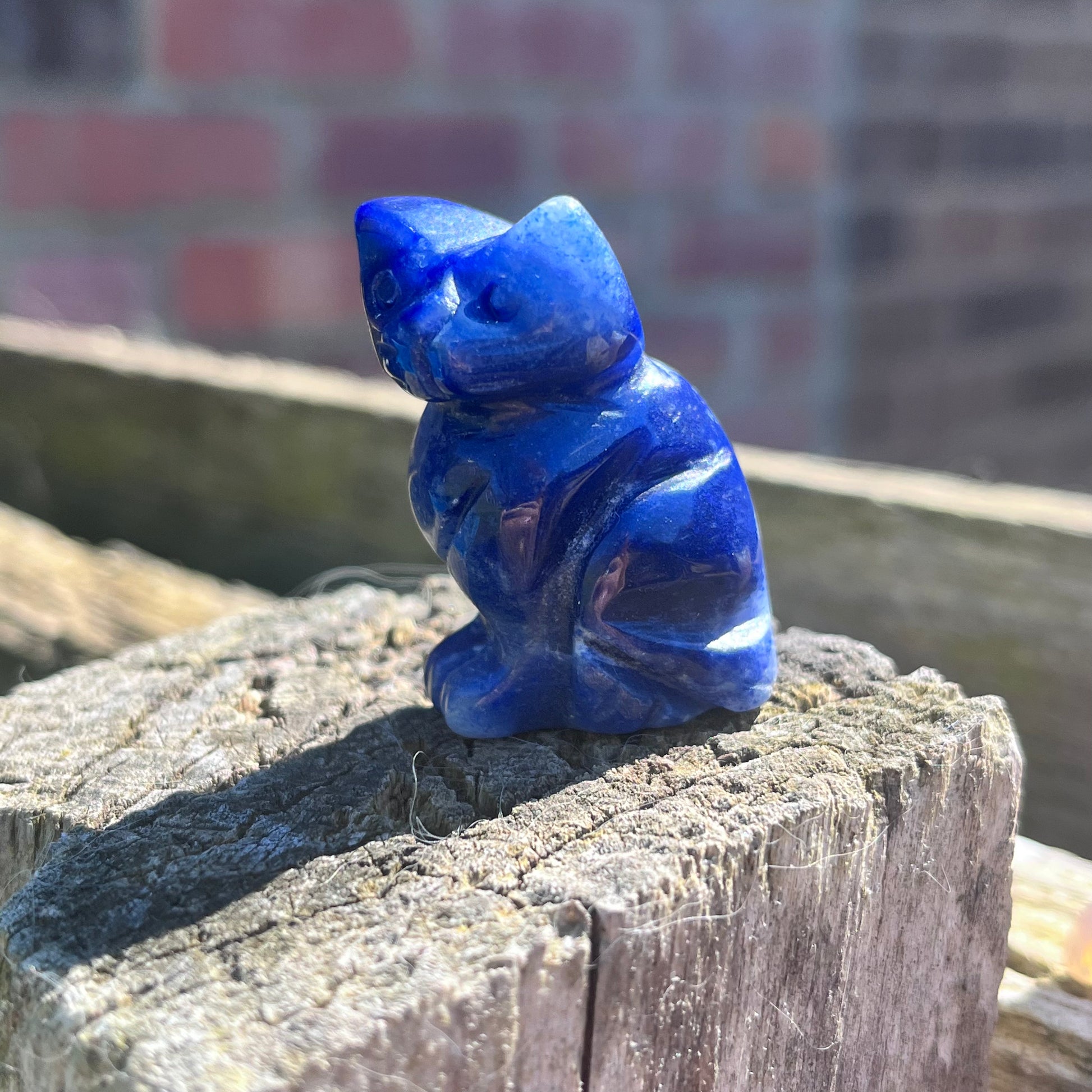 Cat Carvings