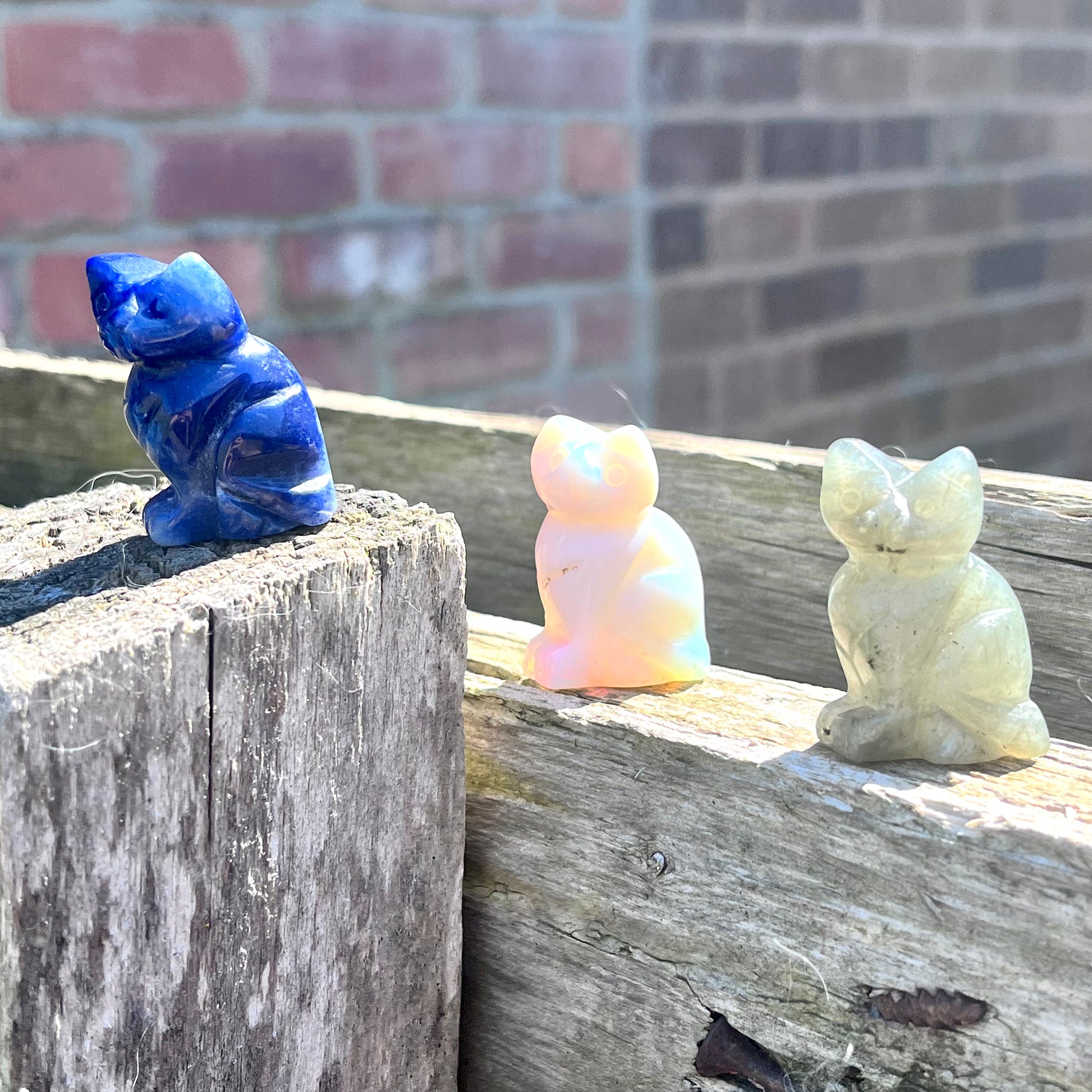Cat Carvings