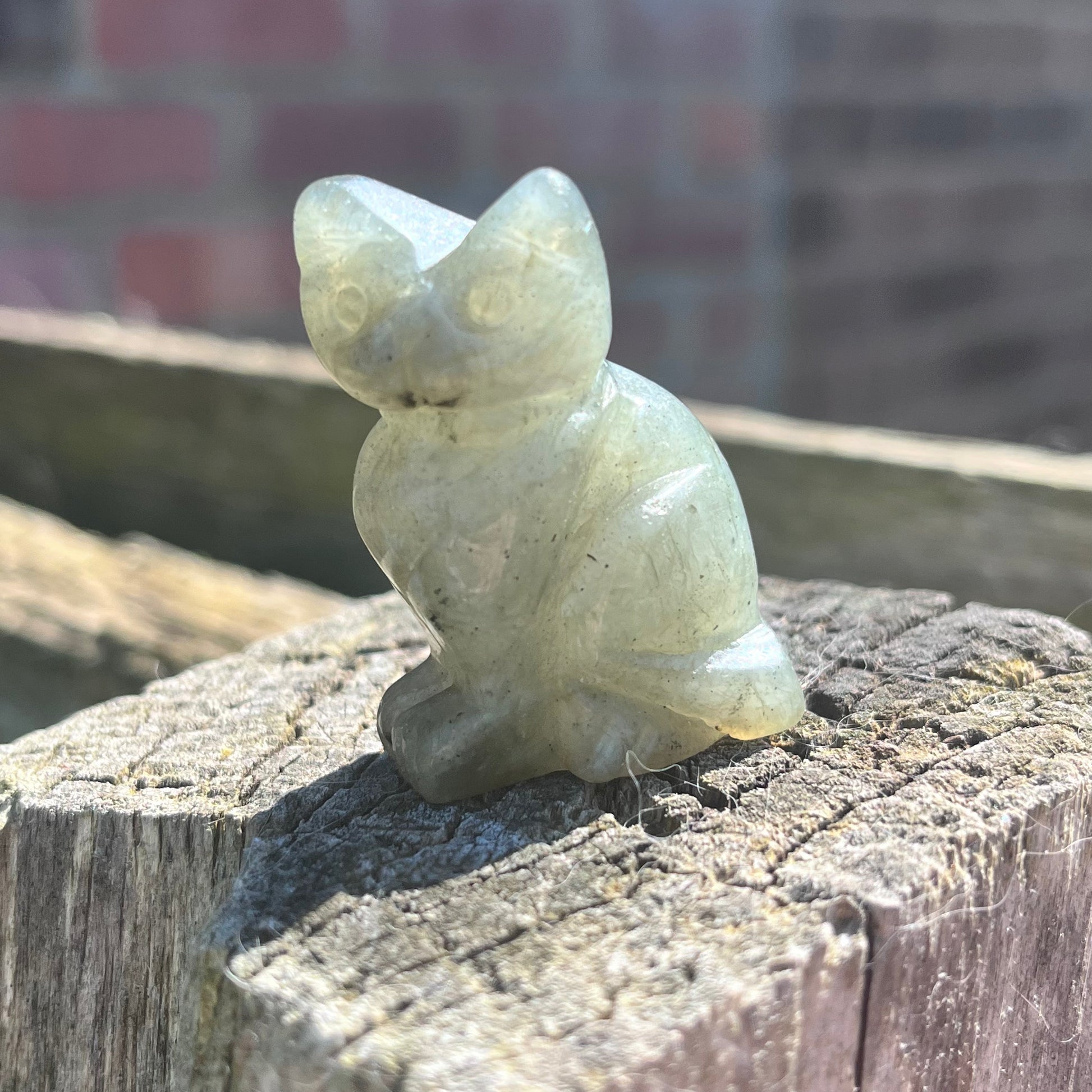 Cat Carvings
