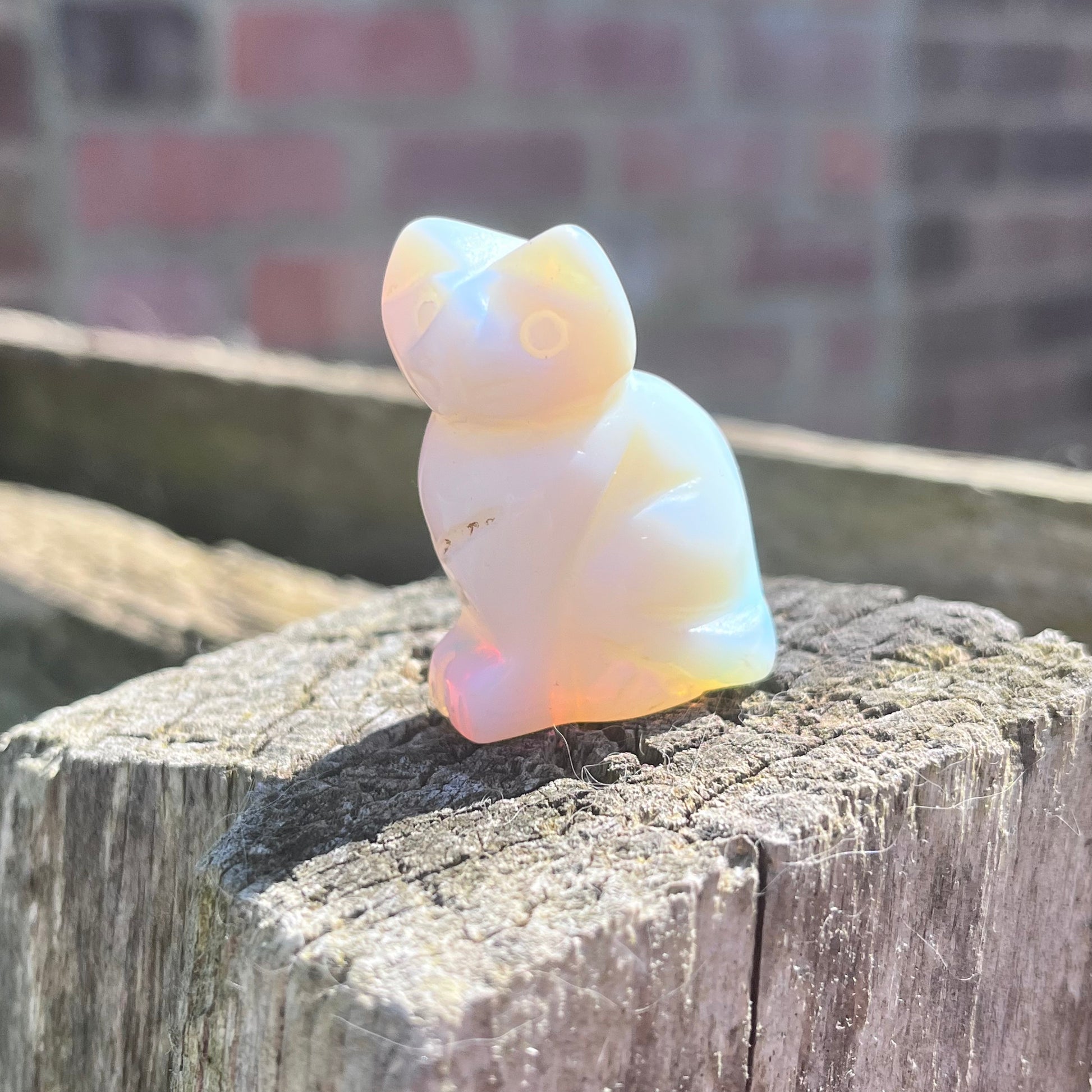 Cat Carvings
