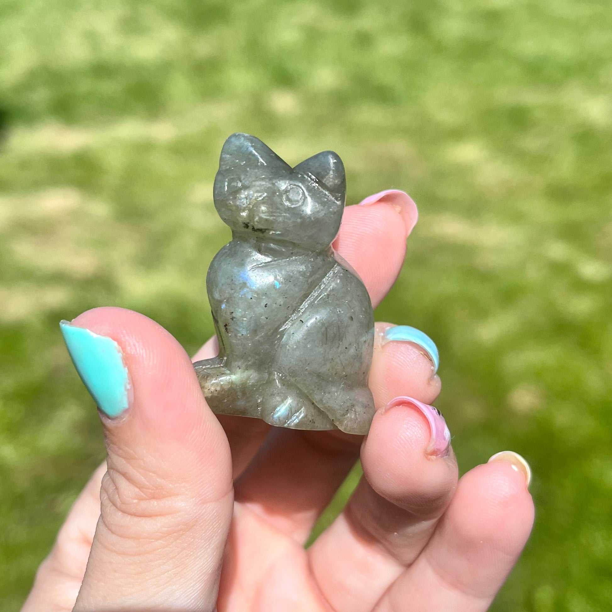 Cat Carvings